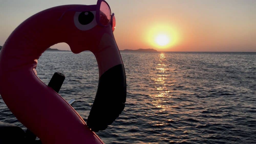 Lola, nuestro flotador en forma de flamenco rosa, posando a la puesta de sol.